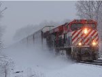 BCOL 3115 in the snow